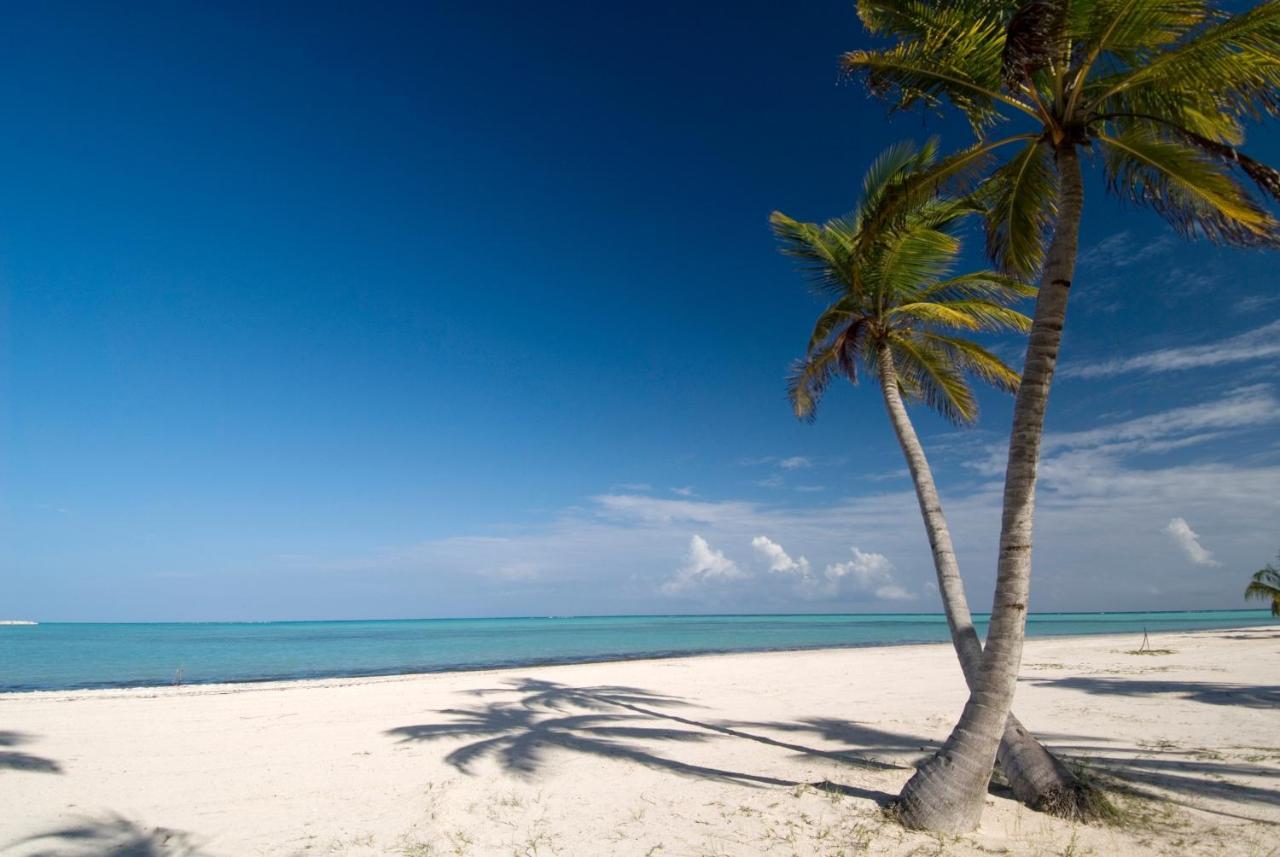 Corte Sea C101 Walk To The Beach Grocery & Dining Free Wifi *
